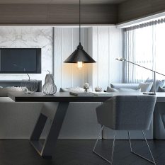 Plug-In Pendant Light Industrial Hanging Lamp 3