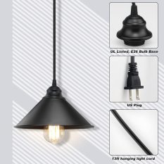 Plug-In Pendant Light Industrial Hanging Lamp 5